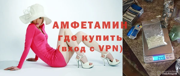 амф Гусев