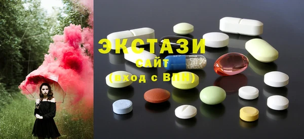 амф Гусев