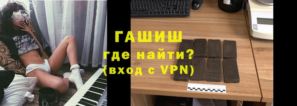 амф Гусев