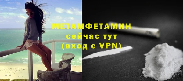 амф Гусев