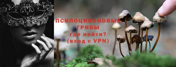 не бодяженный Гусиноозёрск