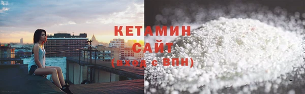 амф Гусев