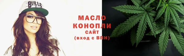 амф Гусев