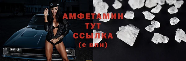 амф Гусев