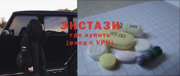 амф Гусев