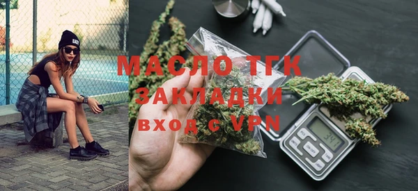 амф Гусев