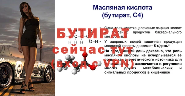 амф Гусев