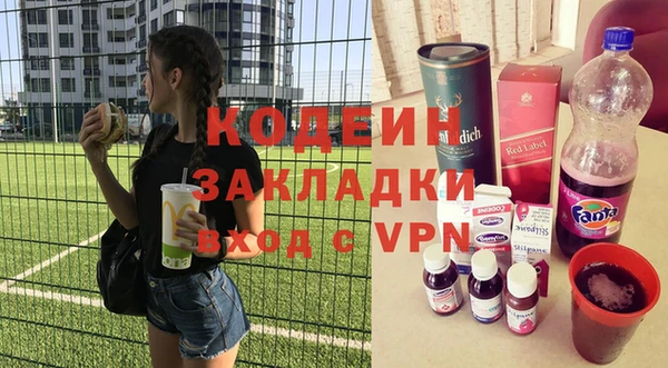 амф Гусев
