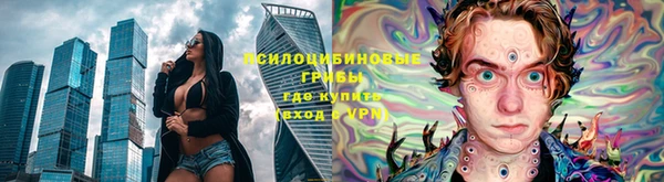 spice Горнозаводск