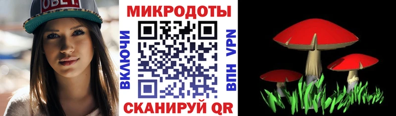 Купить Лукоянов Галлюциногенные грибы Psilocybe